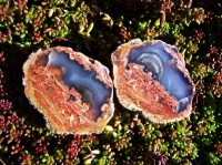 Mexican Thunderegg